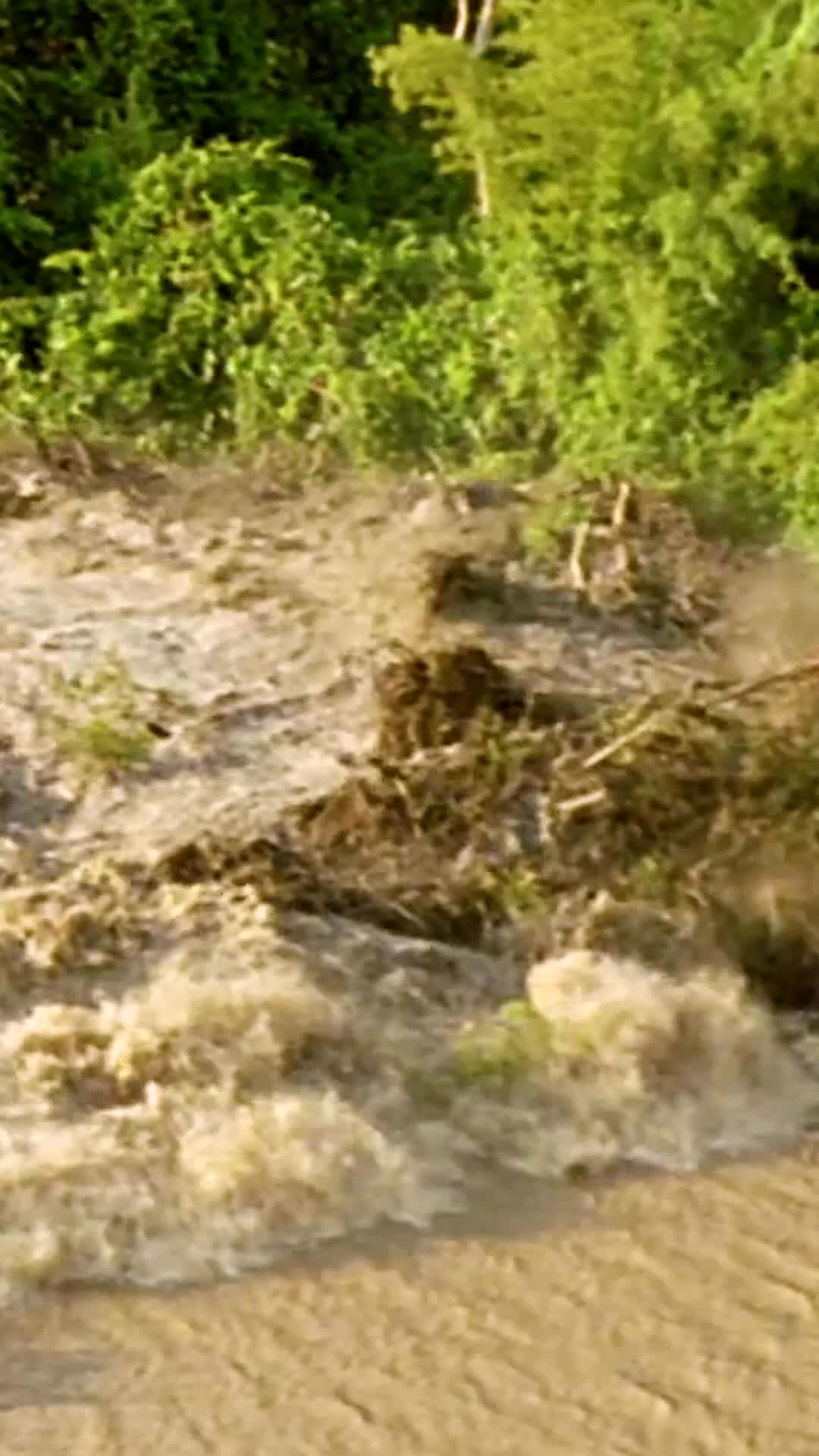 Episódio 9 - A Ruptura: Contra a Maré